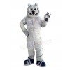 Bulldog Dog mascot costume