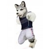Dog mascot costume