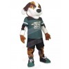 dog mascot costume