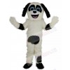 Sheepdog mascot costume