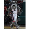 dog mascot costume