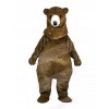 bear mascot costume