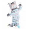 cat mascot costume