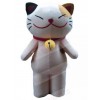 cat mascot costume