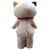 cat mascot costume
