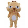 cat mascot costume