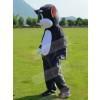 Cat mascot costume