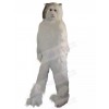 cat mascot costume
