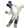 dog mascot costume