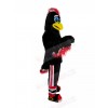 eagle mascot costume
