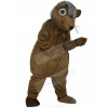 Hedgehog mascot costume