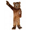 Bear mascot costume