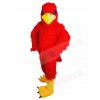 eagle mascot costume