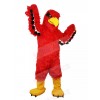 eagle mascot costume