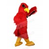 eagle mascot costume