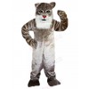 wildcat mascot costume