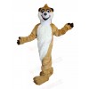 Raccoon mascot costume