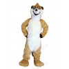 Raccoon mascot costume