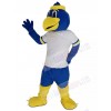 Bird mascot costume