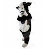Bull mascot costume