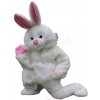 Rabbit mascot costume