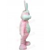 Rabbit mascot costume