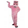 Hippo mascot costume