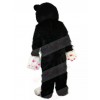 cat mascot costume