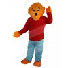 Bear mascot costume