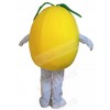 Pear mascot costume