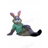Rabbit mascot costume