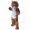 Tiger mascot costume