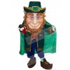 Elf mascot costume