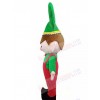 Elf mascot costume