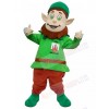 Leprechaun mascot costume