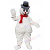 Snowman mascot costume