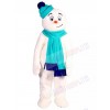 Snowman mascot costume