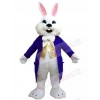 Easter Bunny mascot costume