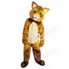 cat mascot costume