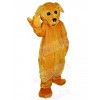 dog mascot costume