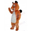 Squirrel mascot costume