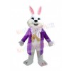 Easter Bunny Rabbit mascot costume