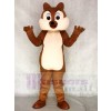 Squirrel Boy Mascot Funny Costumes Animal