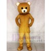 Brown Teddy Bear Mascot Costumes Animal