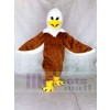 Brown Eagle Mascot Costumes Animal