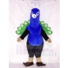 Cute Peacock Mascot Costumes Bird Animal