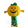 Pumpkins Plant Mascot Costumes Vegetable