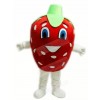 Strawberry Mascot Costumes Fruit Food Plant
