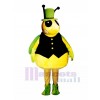 Mr. Bee Mascot Costume