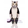 Cute Carlisle Cat Mascot Costume